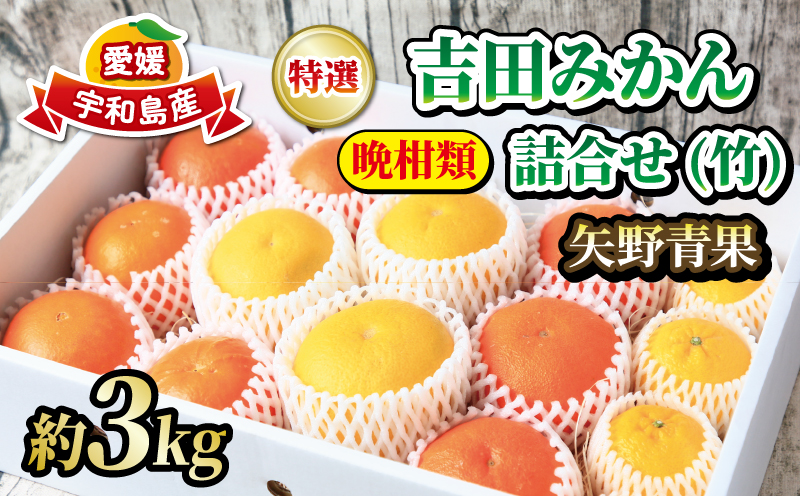 みかん 詰合せ 晩柑 竹 約 3kg 贈答用 特選 吉田みかん 矢野青果 秀品 贈答品 ギフト 高級 ネット掛け 柑橘 詰め合わせ セット 蜜柑 みかん 果物 くだもの フルーツ 愛媛蜜柑 愛媛みかん