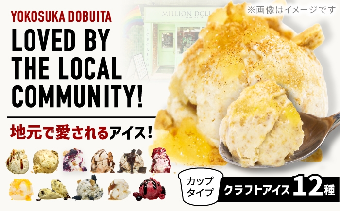 
                  ミリオンダラーアイスクリーム12種【株式会社DADA GLOBAL】 [AKHW002]
                