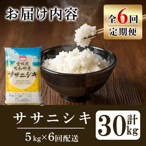 【令和8年産】＜6か月定期便＞特別栽培米 ササニシキ 5kg×6回(合計30kg) お米 おこめ 米 コメ 白米 ご飯 ごはん おにぎり お弁当 頒布会【農事組合法人若木の里】ta545
