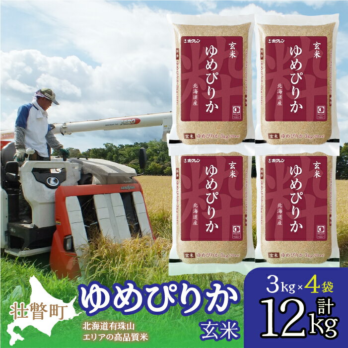 【ふるさと納税】【令和6年産】（玄米12kg）ホクレンゆめぴりか（3kg×4袋） 【 ふるさと納税 人気 おすすめ ランキング 北海道産 壮瞥 玄米 米 ゆめぴりか 炊き込みご飯 こめ 贈り物 贈物 贈答 ギフト 大容量 詰合せ 北海道 壮瞥町 送料無料 】 SBTD076