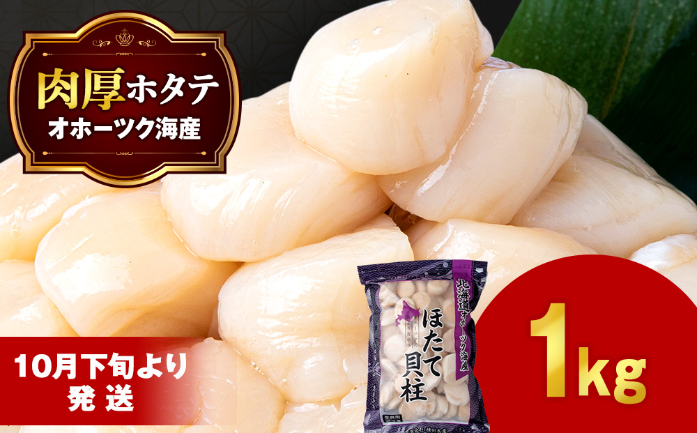 ほたて 貝柱 大粒 冷凍 1kg(41粒～50粒前後)×1パック お取り寄せ 刺身  《横田水産》