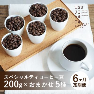ふるさと納税 和泉市 【毎月定期便】スペシャルティコーヒー豆　5種おまかせセット　豆のまま　辻本珈琲全6回
