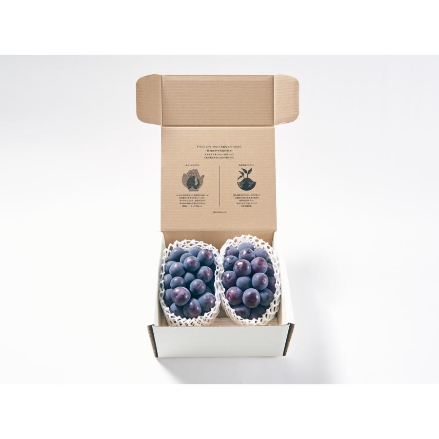 ＜Bonchi＞甲州市産 種無し大粒ピオーネ2房入り　1.1kg 自然農法