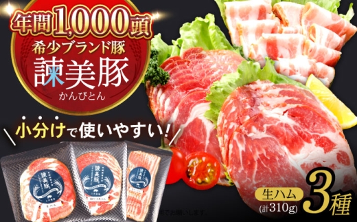 諫美豚 生ハム＆生ベーコン 3種セット計4P / 豚肉 ぶたにく ハム はむ 生ハム ベーコン 生ベーコン ロース 肩ロース バラ 小分け / 諫早市 / 株式会社土井農場 [AHAD058]