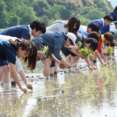 ふるさと納税 大津市 味くらべセット【龍谷大学農学部】 |  | 01