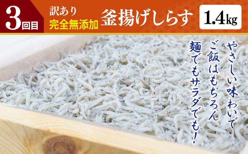 店主セレクト 食べ比べ 定期便 全5回（ハンバーグ／しらす／スンドゥブチゲ／サムギョプサル／干し芋）【毎月配送コース】
