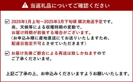 宇城市産 完熟不知火(化粧箱入り) 約3kg 髙橋果樹園【2025年1月上旬から3月下旬発送予定】不知火 柑橘 果物 フルーツ かんきつ