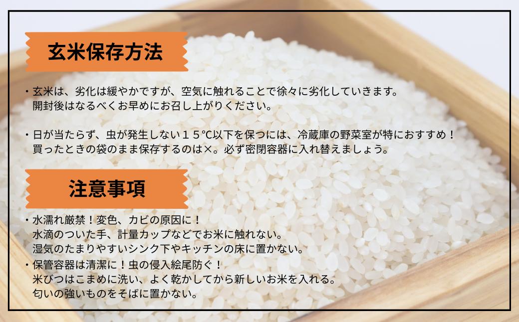 魚沼産コシヒカリJAS有機栽培米 5kg×2袋 玄米 魚沼わたなべ農園 【0002-0273-01】