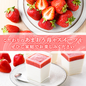 ＜先行予約受付中・数量限定＞2025年2月からお届け！厳選大粒あまおう(計約1kg・約250～270g×4P) 苺 いちご イチゴ フルーツ 果物 くだもの 手作り スイーツ ＜離島配送不可＞【ksg