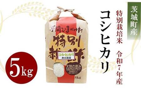 027【令和7年産】コシヒカリ 奥谷さんちの特別栽培米 5kg【奥谷農園】