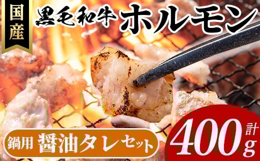 国産黒毛和牛ホルモン計400g(400g×1P) 牛肉 ホルモン 【ナンチク】A993