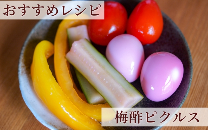 【梅ボーイズ】無添加 紀州南高梅の梅酢500ml×4本セット（白・紫蘇）天日塩使用 umehkr023