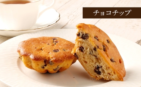 大きい！マドレーヌ（プレーン・チョコチップ） 8個 お菓子 菓子 デザート スイーツ マドレーヌ ビッグ BIG プレーン チョコチップ