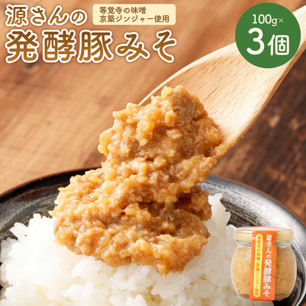 【ふるさと納税】源さんの発酵豚みそ 100g×3個セット 計300g 豚みそ 豚味噌 ご飯のお供 ごはんのお供 等覚寺の味噌 発酵生姜 豚ミンチ 味噌 みそ 肉味噌 肉みそ 肉 豚肉 瓶 冷蔵 九州 福岡県 苅田町 送料無料