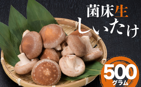 葛尾村産菌床しいたけ500g