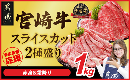畜産農家応援! 宮崎牛スライス2種セット500g×2パック_19E-N2-001-1000_(都城市)  牛肉 すき焼き しゃぶしゃぶ