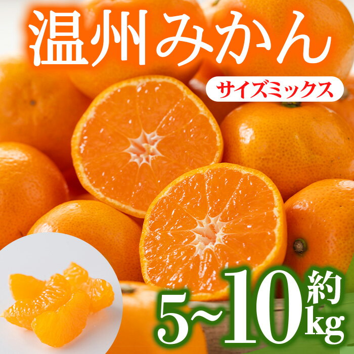 【ふるさと納税】＜先行予約！2026年12月上旬以降順次発送予定＞＜選べる容量＞香川県産 温州みかん(約5kg・約10kg/サイズミックス) 国産 果物 果実 くだもの フルーツ みかん 蜜柑 温州 オレンジ ミカン 柑橘 【man119-AB】【Aglio nero】