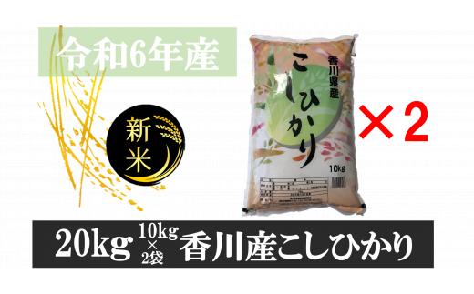 896-11　令和6年産香川県産こしひかり　10ｋｇ×2　紙袋配送　【11月配送】