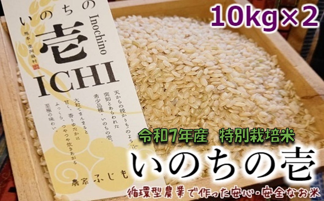 【数量限定！農家から直接お届け】令和7年産特別栽培米 いのちの壱(玄米)10kg×2