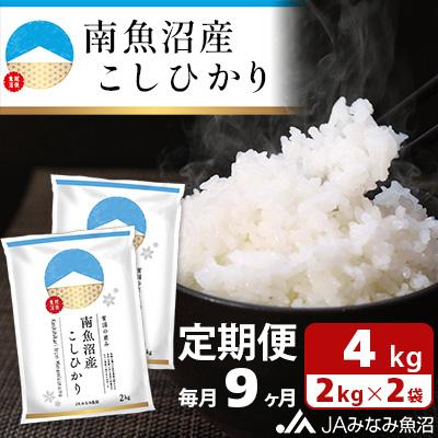 ふるさと納税 南魚沼市 【毎月定期便】南魚沼産こしひかり 精米 4kg(2kg×2袋)全9回
