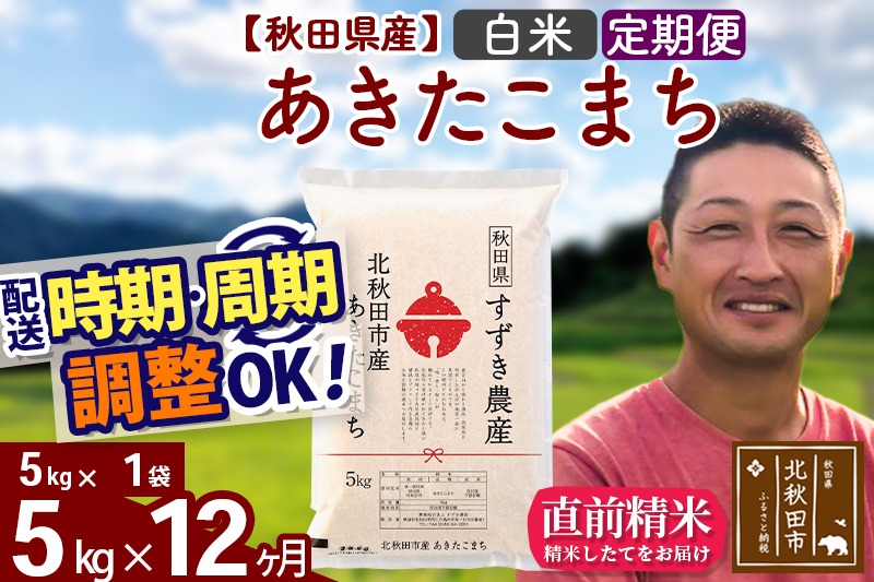 ※令和7年産 新米※《定期便12ヶ月》秋田県産 あきたこまち 5kg【白米】(5kg小分け袋) 2025年産 お届け時期選べる お届け周期調整可能 隔月に調整OK お米 すずき農産|szap-10312