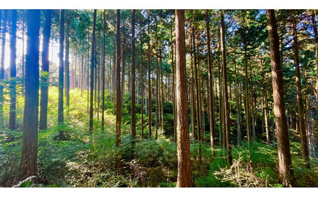 小鳥のディフューザーと森の香りのギフト