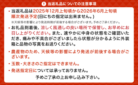 【先行予約】 レモン 食べるレモン スイートレモネード 約2kg（15～25玉）【吉田レモニー】【2025年12月上旬～2026年6月上旬発送】国産レモン 宇城市産レモン 熊本県産レモン グリーンレモ