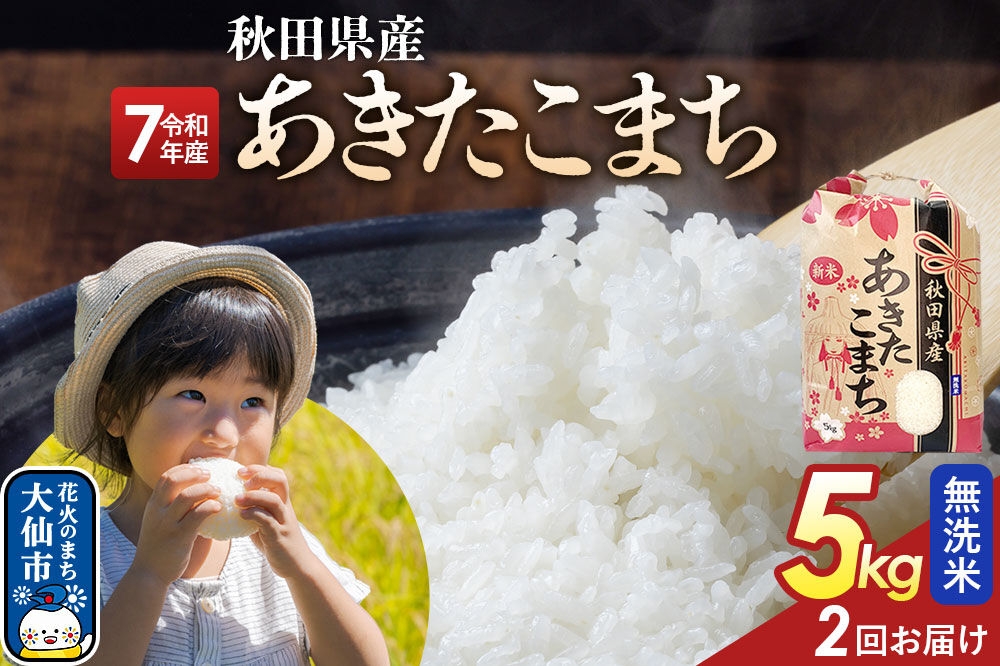 
                  《定期便2ヶ月》【無洗米】あきたこまち 5kg 秋田県産 令和7年産  こまちライン 秋田県 大仙市産 [秋田 お米 米どころ あきたこまち こまちライン]
                