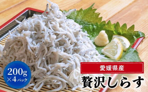 釜揚げ しらす 800g ( 200g × 4パック ) 冷凍 小分け 約12人前 しらす丼 丼ぶり 魚 さかな ご飯 ごはん 炒飯 チャーハン パスタ スパゲティ サラダ 卵焼き 釜揚げ 釜揚げしらす お取り寄せ グルメ 人気 おすすめ 愛媛県 松山市 IY001 人気おすすめ