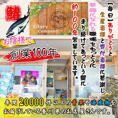 ふるさと納税 坂出市 瀬戸内海産[薄塩加工済み]朝獲れ 鰆の切り身12切れ(4切れパック×3袋)冷凍品 |  | 03