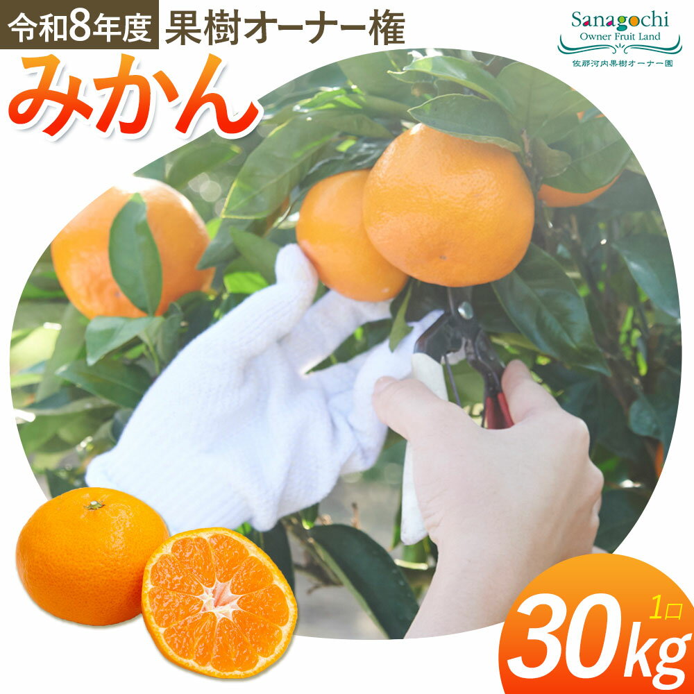 【ふるさと納税】果樹オーナー権（みかん）