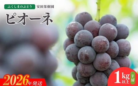 No.2610ぶどう　ピオーネ約1kg以上【2026年発送】