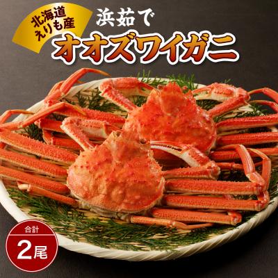 ふるさと納税 えりも町 浜茹でオオズワイガニ2尾【えりも産】【er004-003-e】
