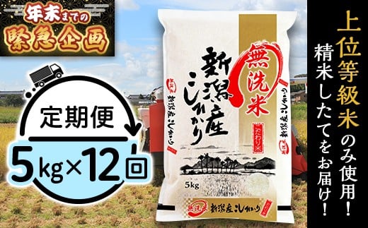 31-M5ZB【2026年2月発送開始】【無洗米】新潟県産コシヒカリ5kg【12ヶ月連続お届け】
