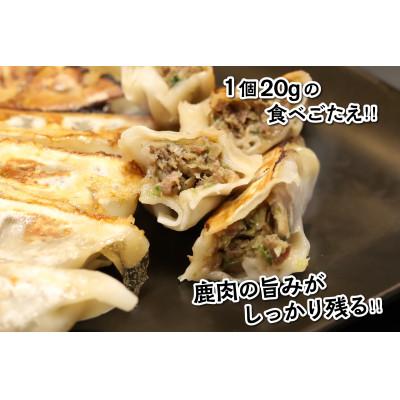 ふるさと納税 おおい町 わかさ食美恵ぎょうざ(20個入り×3パック)ジビエ【福井県おおい町】鹿肉ミンチの餃子 |  | 01