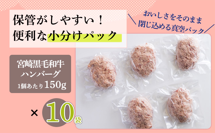 黒毛和牛100% ハンバーグステーキ (1０個) 国産牛100% [牛肉 日本産 お肉 お惣菜 一人暮らし 1人暮らし 独り暮らし 時短調理 時短料理 簡単調理 簡単料理 送料無料 12000円 1万