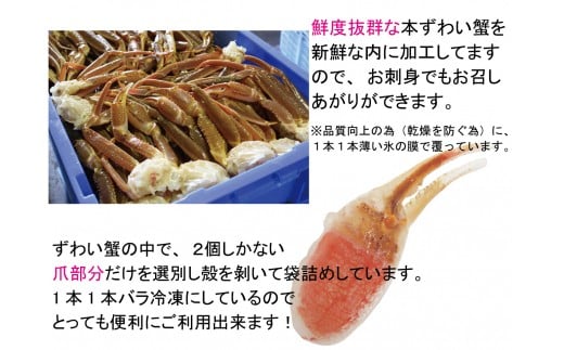 お刺身も出来る！生冷凍ズワイガニ爪 約1kg【0303302】
