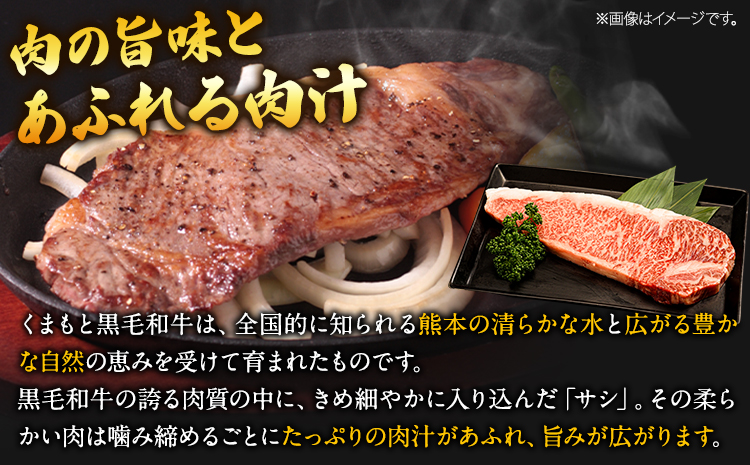 くまもと黒毛和牛 サーロインステーキ 内容量 250g(250g×1) 牛肉 冷凍 《30日以内に出荷予定(土日祝除く)》 くまもと黒毛和牛 黒毛和牛 冷凍庫 個別 取分け 小分け 個包装 ステーキ肉