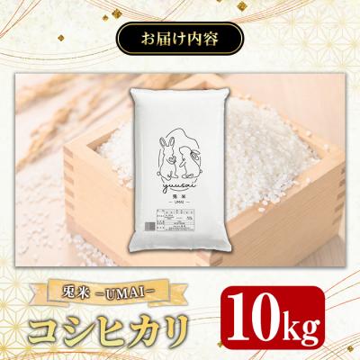 ふるさと納税 境港市 <令和7年産>特別栽培米!兎米-UMAI- コシヒカリ(10kg) |  | 03