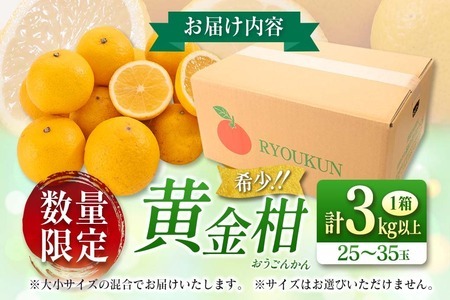 ≪数量限定≫黄金柑(おうごんかん)計3kg以上　フルーツ　果物　柑橘　みかん　国産 B227-23