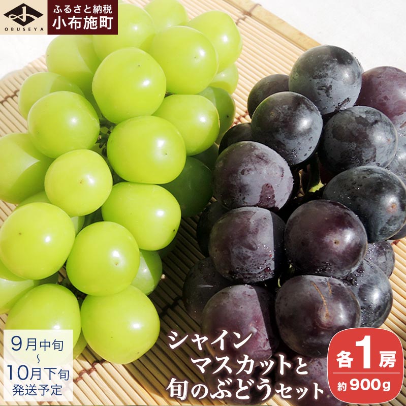 シャインマスカットと旬のぶどう 詰め合わせ 各1房 約900g［小布施屋］ 食べ比べ 果物 詰合せ セット フルーツ ぶどう 詰合せ 数量限定 先行予約 長野県産 信州産 2種 くだもの フルーツセット おまかせ ブドウ 1万円以下 令和7年産 【2025年9月中旬～10月下旬発送】