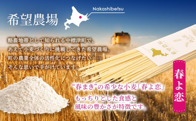 北海道中標津町産「春よ恋」パスタ×6袋 | 春よ恋使用 北海道小麦のもちもちパスタ 国産小麦 本格パスタ 春よ恋パスタ 小麦の香り 小麦の旨み 小麦の甘み 堪能 北海道グルメ ご当地パスタ 北海道産 