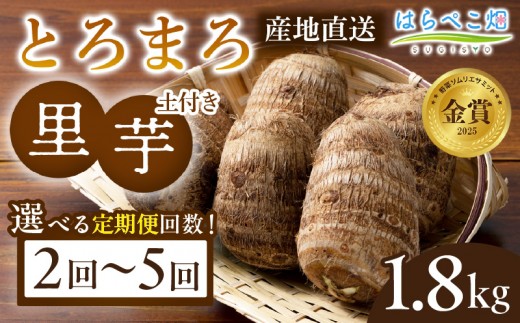 
                  《選べる回数》【定期便】里芋『とろまろ』土付き・1.8kg・H134-SKU
                