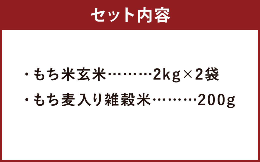 熊本県菊池産 もち米 玄米 2kg×2袋 雑穀米 200g 計4.2kg ヒヨクモチ