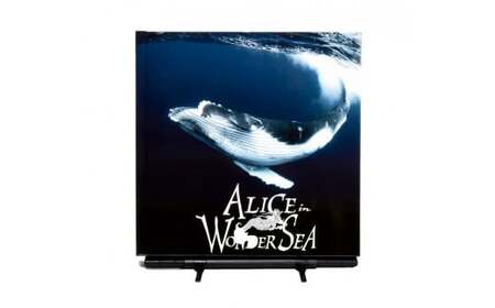 水中写真家 高橋怜子 フォトブック ALICE in WONDER SEA 写真集 海の絶景 ナショナルジオグラフィック 総合グランプリ受賞  写真 インテリア アート 写真家 Reiko Takah