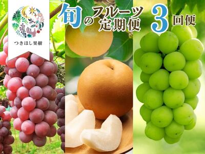 【定期便：全３回】旬のフルーツ定期便（キングデラ、和梨、シャインマスカット）　0140-2601