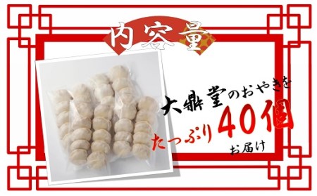 大鼎堂のおやき2種セット（豚にら・豚玉ねぎ）10個×2袋×2種　計40個[H4514]