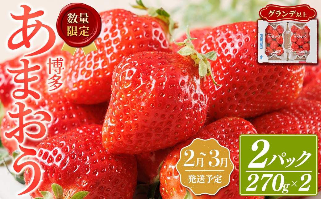 
                  ＜数量限定・先行予約受付中！2027年2月下旬～3月末に順次発送＞福岡県産苺「あまおう」グランデ以上(計約540g)いちご 苺 フルーツ 果物 くだもの 福岡限定 家庭用 冷蔵 ＜離島配送不可＞【ksg1895】【hurrah.】
                