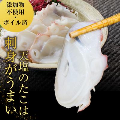 ふるさと納税 天塩町 自信作!天塩産たこ足4本セット<浪岡屋>【BP007】 |  | 01