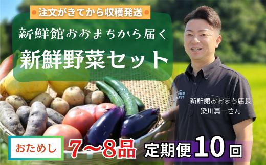 【定期便10回】注文が来てから収穫発送！収穫したばかりの新鮮野菜セットお試しコース 《7～8品》  季節のお野菜 おまかせ お楽しみ 獲れたて産地直送 旬 春野菜 ベジタブル ヘルシー 健康 詰め合わせ 一関市